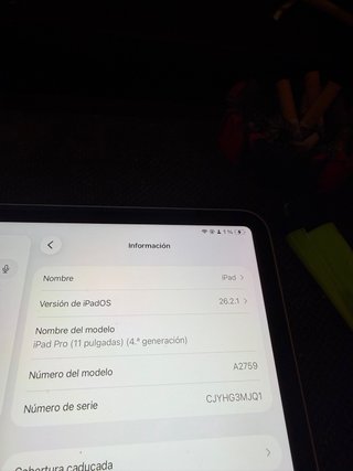 Apple iPad Pro Plata/Gris Espacial