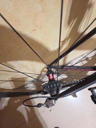 Bici Canyon Ultimate CF SLX