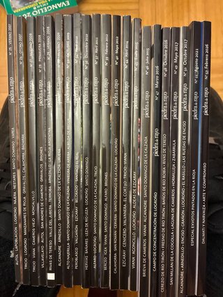 Lote de Revistas Piedra de Rayo: Revista Riojana