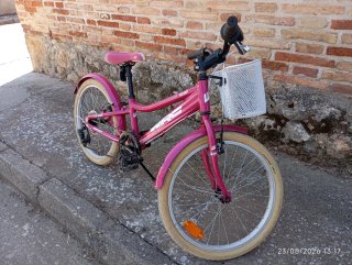 Bicicleta WRC Fucsia 20 Pulgadas