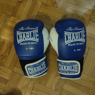 Guantes de boxeo Charlie niño 6-TNT