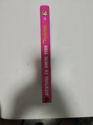 Libro Infantil y a juvenil, Aventura en Nueva York