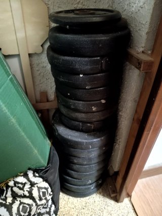 2 Barras de pesas con discos