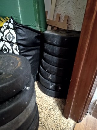 2 Barras de pesas con discos
