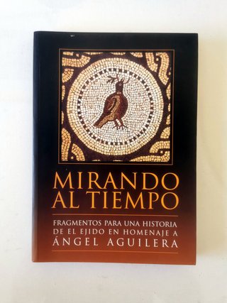 Mirando al tiempo. Historia de El Ejido (Almería)