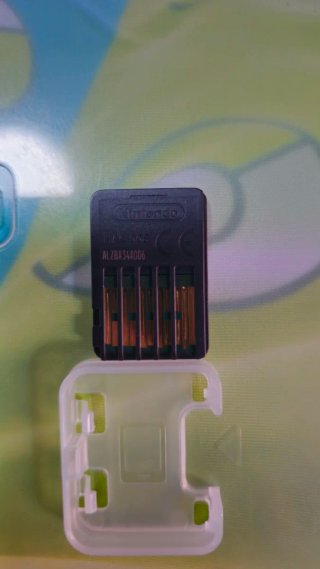 Pokemon Scudo Nintendo Switch