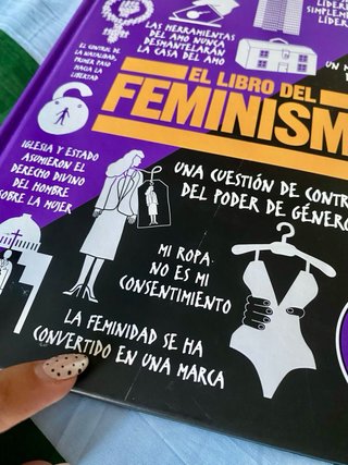 El libro del feminismo