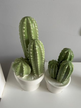 Confezione da 2 Cactus in Ceramica per Decorazione