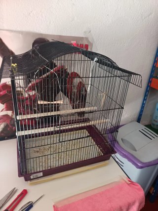 Jaula grande para pájaros