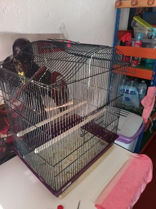 Jaula grande para pájaros