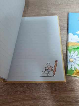 Coppia Diari Mulino Bianco