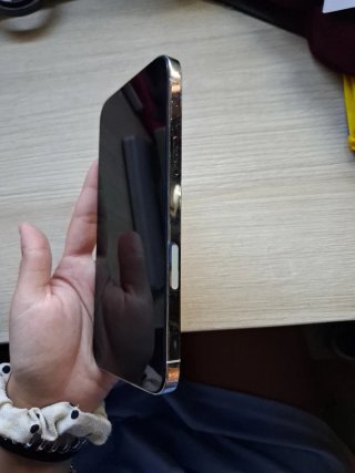 iPhone 13 Pro Max Argento