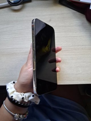 iPhone 13 Pro Max Argento