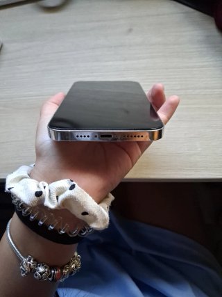 iPhone 13 Pro Max Argento