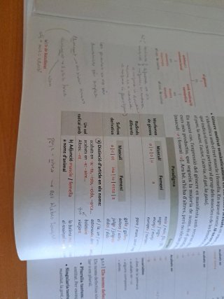Llengua catalana i literatura, 1r Batxillerat H...