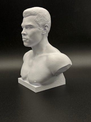 Busto Muhammad Ali Stampa 3D Plastica