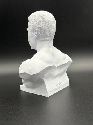 Busto Muhammad Ali Stampa 3D Plastica
