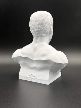 Busto Muhammad Ali Stampa 3D Plastica