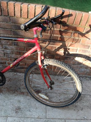 Bicicleta Montaña Niños 22 Roja