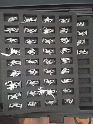 40 Portadores de Plaga Warhammer Nurgle