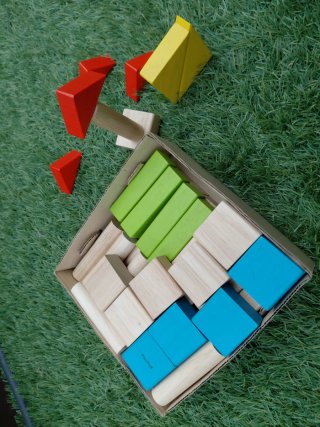 Bloques de construcción madera PlanToys (50 pz).