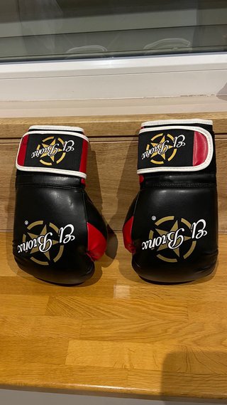 Saco de boxeo Everlast y guantes