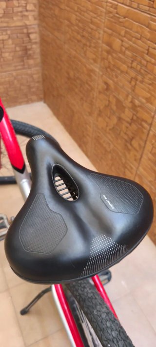 Bicicleta Earth Cruiser Roja y Plateada