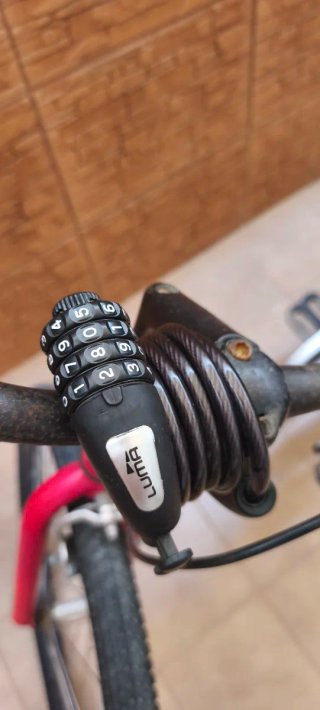 Bicicleta Earth Cruiser Roja y Plateada