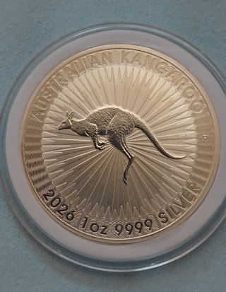 1Oz plata pura 9999 KANGAROO 2026