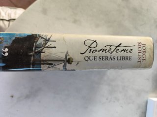Prométeme que serás libre (TH Novela) (Spanish ...
