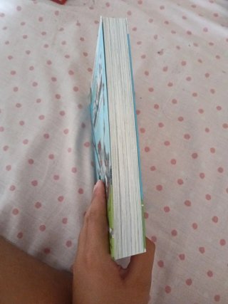 Libro los once 1 delantero q vlaba al atardecer