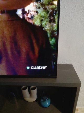 Smart TV 43 (sin patas)