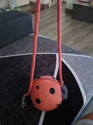 Bolso infantil mariquita