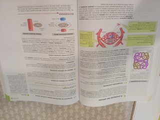 Libro de  Bioloxía e Xeoloxía