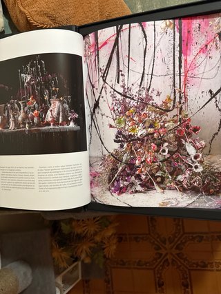 Libro de pinturas