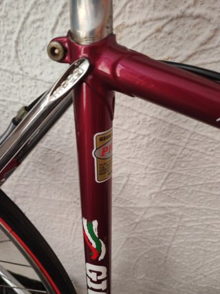 Gios Pro (Única) Italia