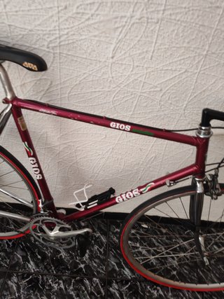 Gios Pro (Única) Italia