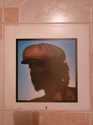 Carátula Vinilo Ska