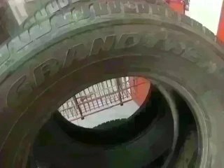 275 60 R18 113H Dunlop 2 neumáticos +80%