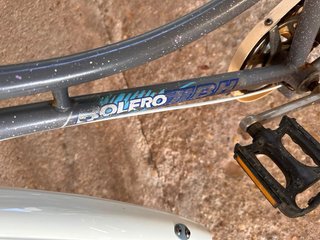 Bicicleta BH Bolero Gris