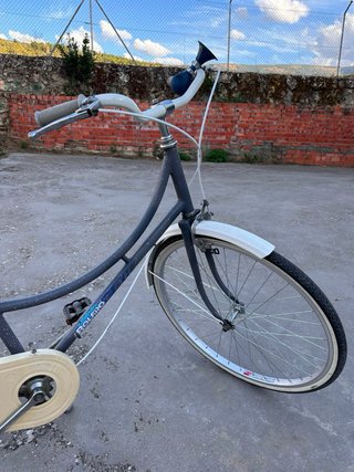 Bicicleta BH Bolero Gris