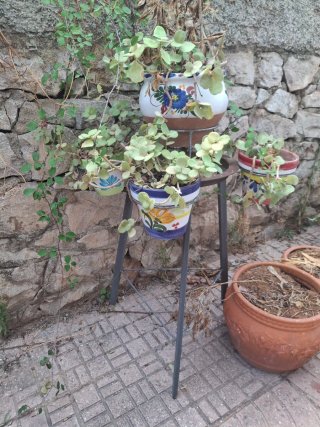 Soporte de forja con 5 macetas de cerámica deco