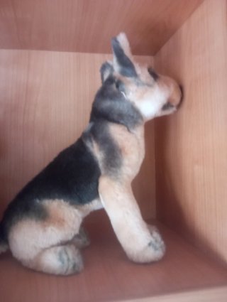 Peluche perro pastor alemán.Nuevo