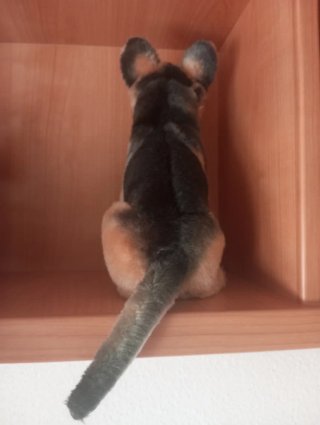 Peluche perro pastor alemán.Nuevo