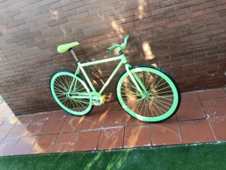 Bicicleta Fixie Verde Lima