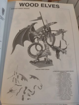 Warhammer fantasy dragon elfos silvanos