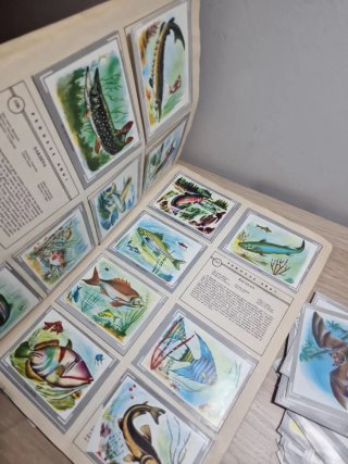 Álbum cromos Naturaleza y Color