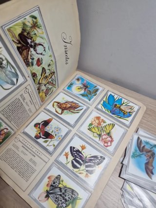 Álbum cromos Naturaleza y Color