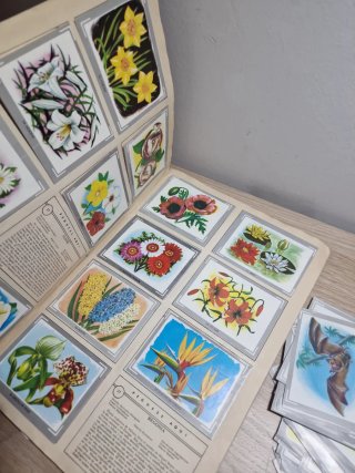 Álbum cromos Naturaleza y Color