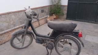 Ciclomotor Ciclomotor